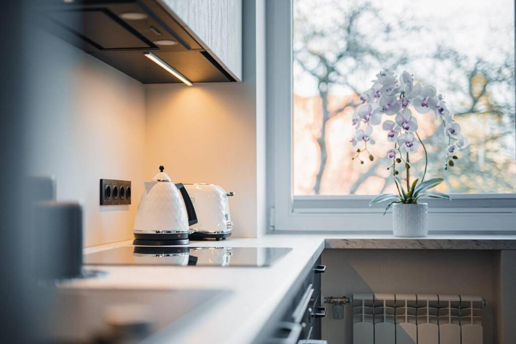 New Luxury 3Br Apartment In Old Town, Free Parking Haapsalu Εξωτερικό φωτογραφία